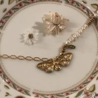 accessory 71[y222]