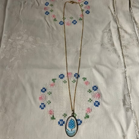 accessory 556[ge43]