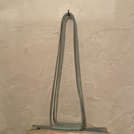 Bag100[ge880]