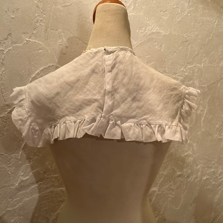 collar 95[ge401]