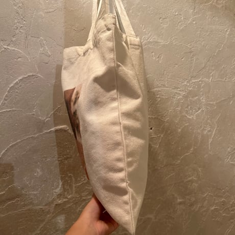 bag 254[FF764]