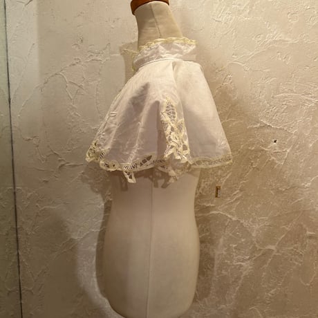 wearing collar45[na234]