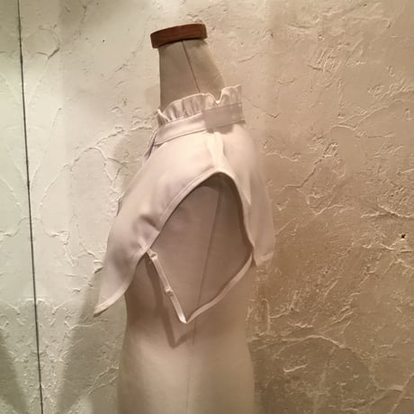 wearing collar 9[AA-189]