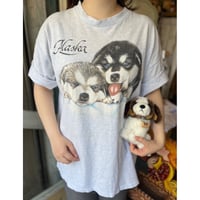 tops 597[NA250]