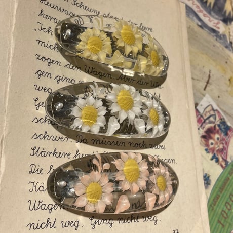 accessory 554[aa256]