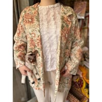 outer 41[na230]