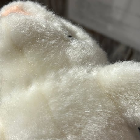 animal 538[ge271]