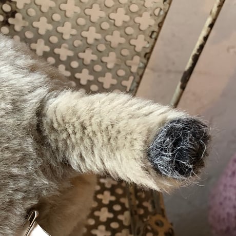 animal 101[AN176]