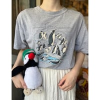 tops 562[NA245]