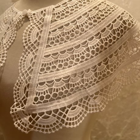wearing collar54[na238]