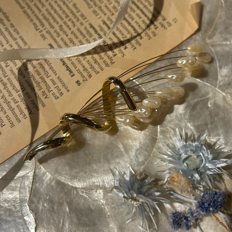 accessory 496[ge394]