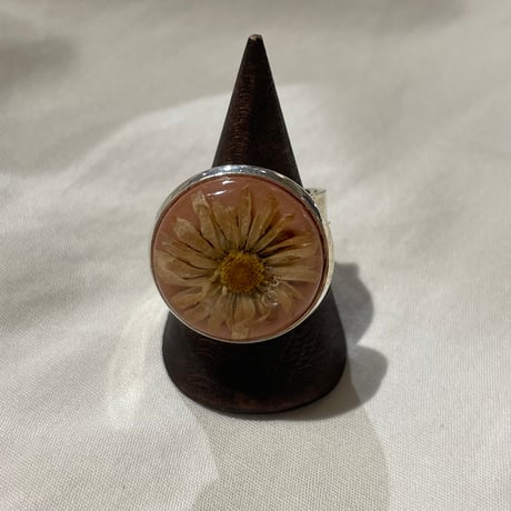 accessory 452[ge390]