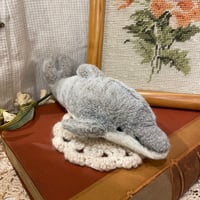 animal 513[an519]