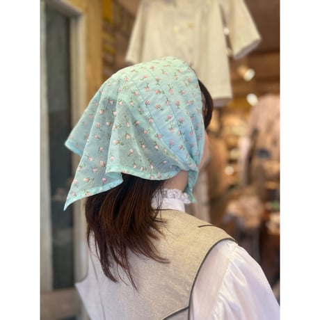 hat 256[na270]