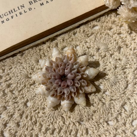 accessory 459[ge521]