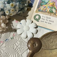 accessory 564[ge41]