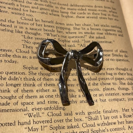 accessory 516[ge517]