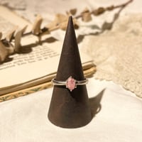accessory 302[ge477]