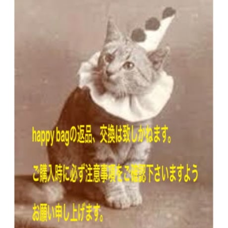 HAPPY BAG＊Aset＊1000yenoffクーポン付き♪