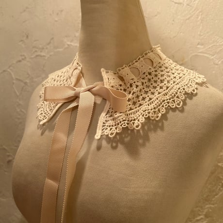 wearing collar52[na232]