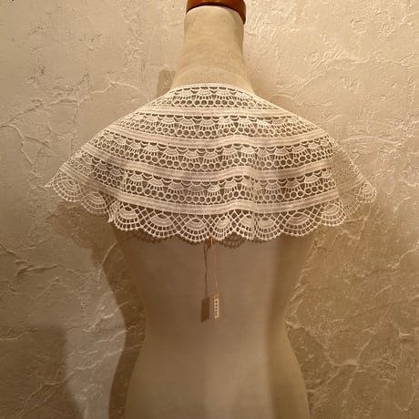 wearing collar54[na238]