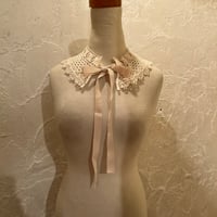 wearing collar52[na232]