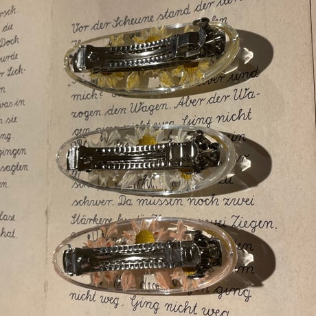 accessory 554[aa256]