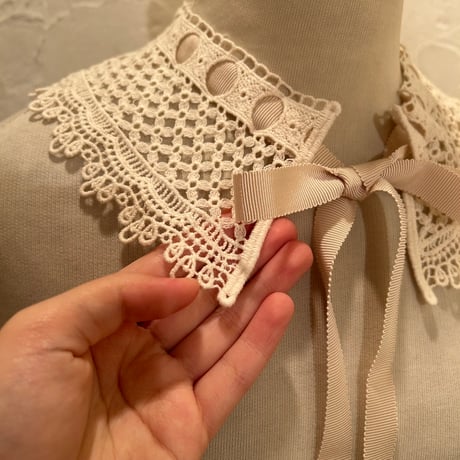 wearing collar52[na232]