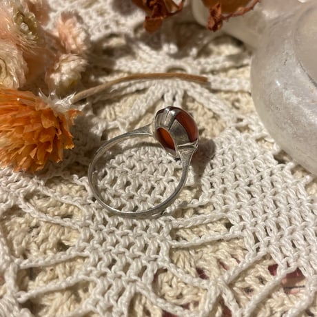 accessory 549[ge835]