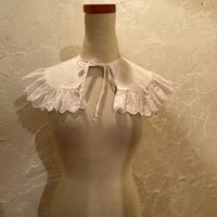 wearing collar55[na241]