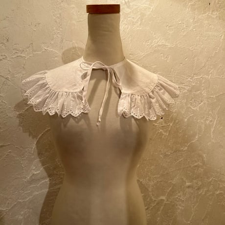 wearing collar55[na241]