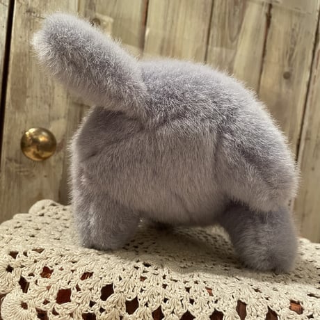 animal 15[an23]