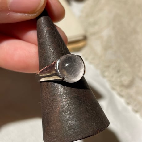 accessory 309[ge484]