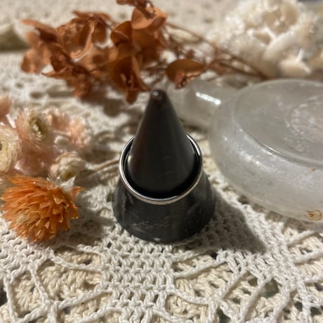 accessory 542[ge828]