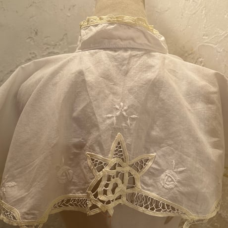 wearing collar45[na234]