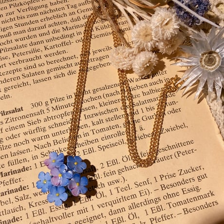 accessory 409[ge60]