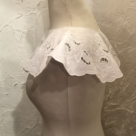 wearing collar 11[FF723]