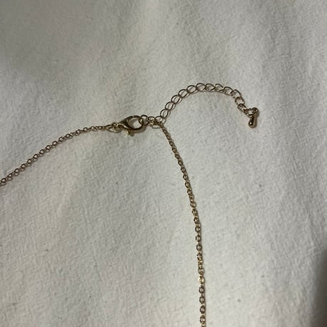 accessory 528[ge647]