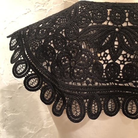 wearing collar 14[AA208,AA209]