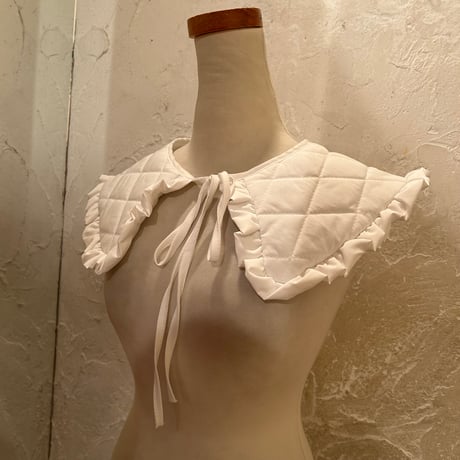 wearing collar47[na236]