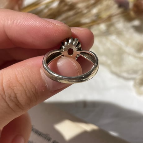 accessory 460[ge993]