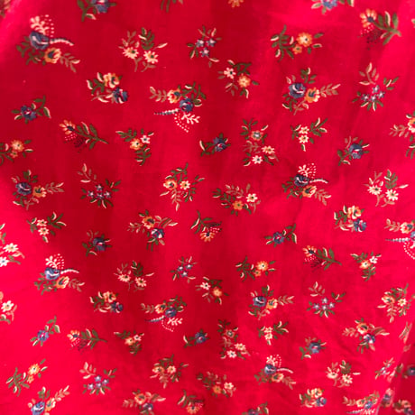 skirt 452[na459]