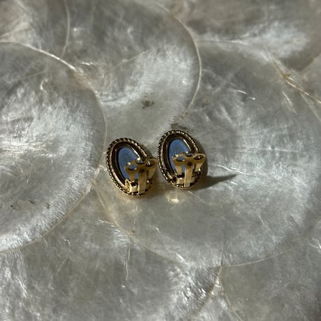 accessory 493[ge398]