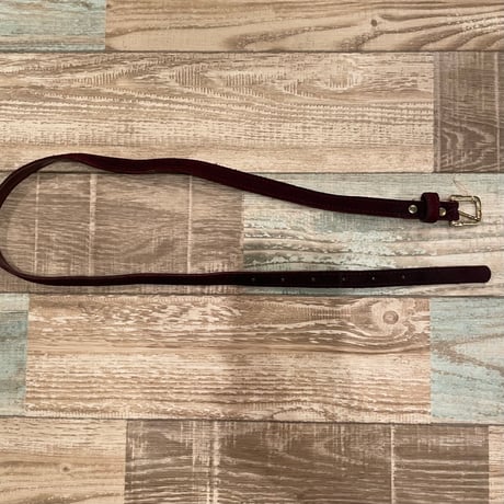 belt95[ge490]
