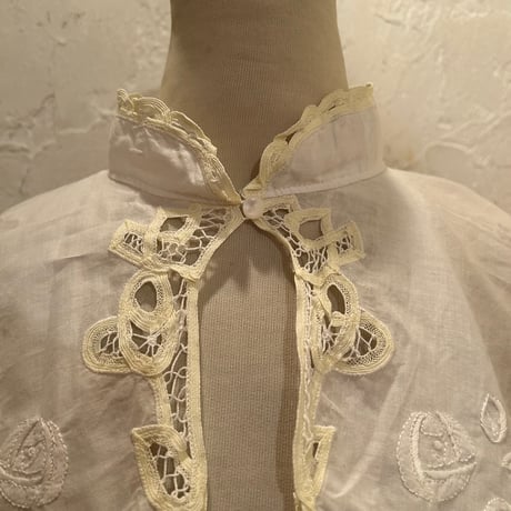 wearing collar45[na234]