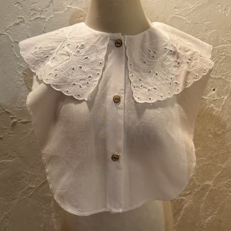 collar 107[ge599]
