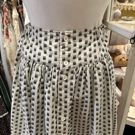 skirt891[ge98]