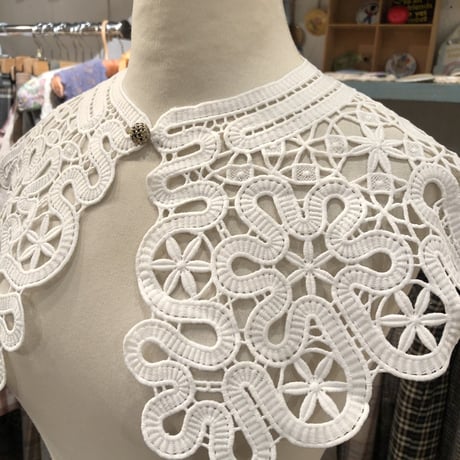 wearing collar 2[AA-191]
