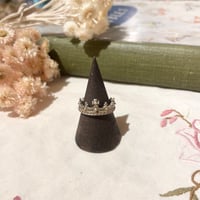 accessory 392[ge977]