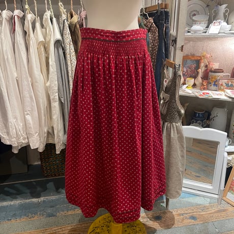 skirt 720[ge24]